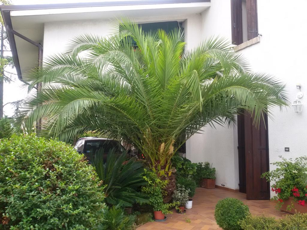 B&B La Cascina Concordia Sagittaria Exterior photo