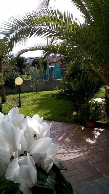 B&B La Cascina Concordia Sagittaria Exterior photo