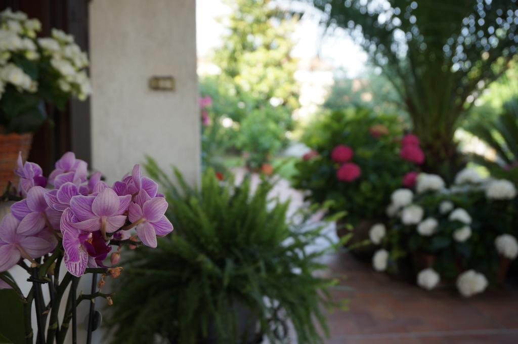 B&B La Cascina Concordia Sagittaria Exterior photo
